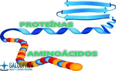 proteínas e aminoácidos